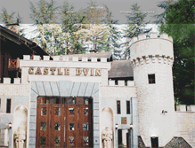 Tablet Screenshot of castle-dvin.ru